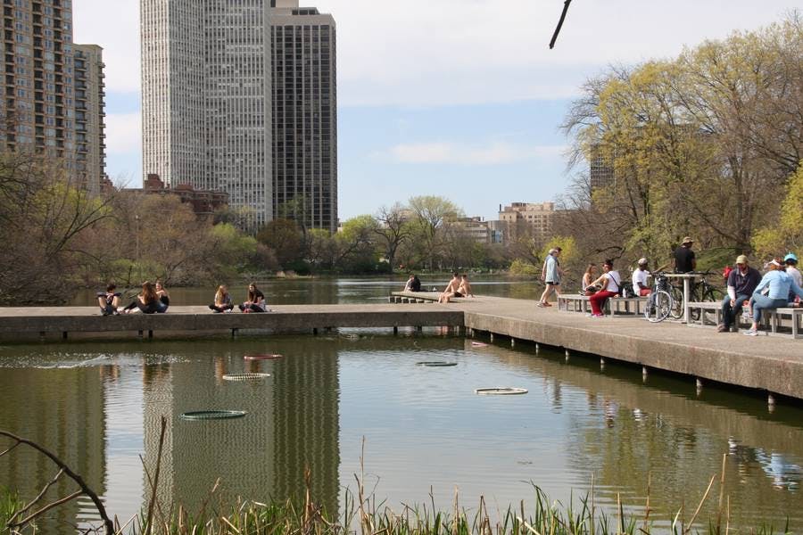 North Pond Landmarks