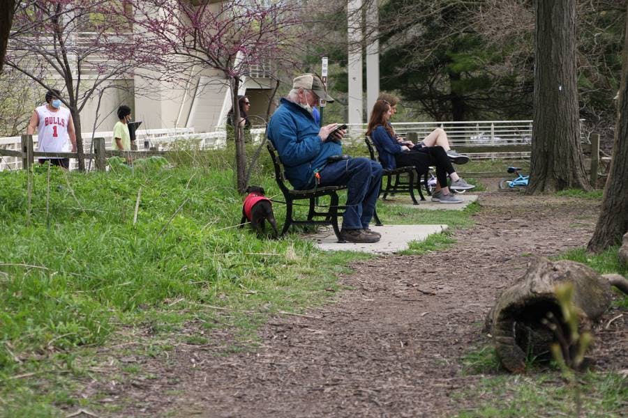 Covid19: North Pond Healing Community