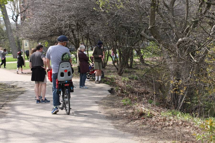 Covid19: North Pond Healing Community