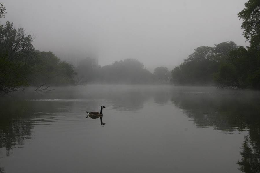 North Pond Residents