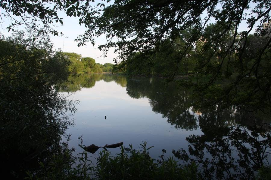 North Pond Views