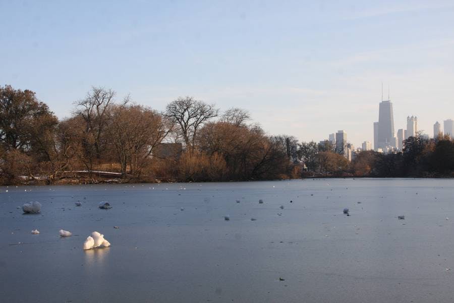 North Pond Views