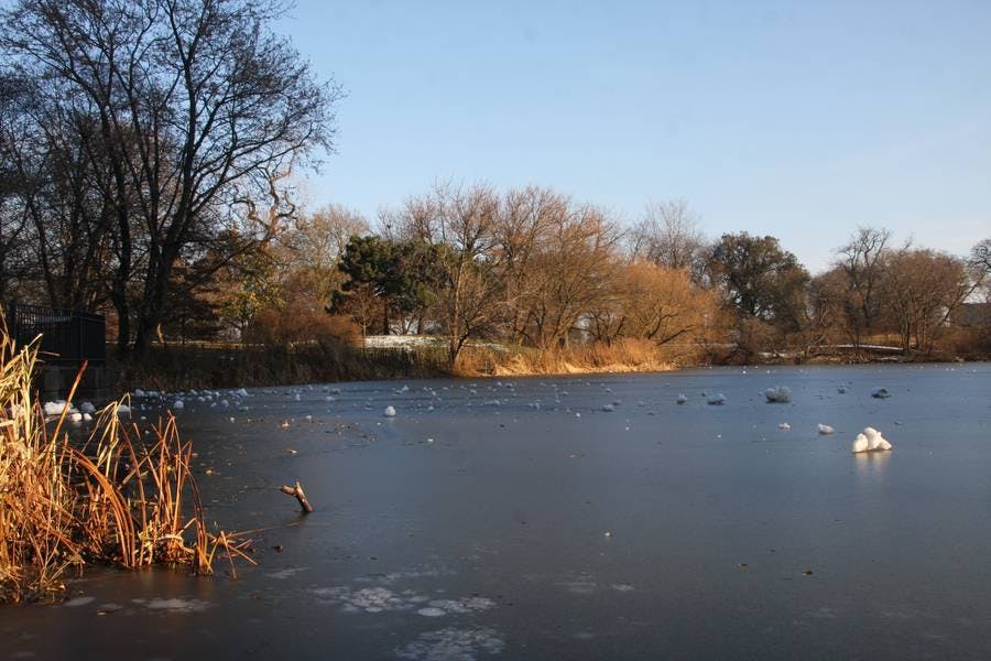 North Pond Views