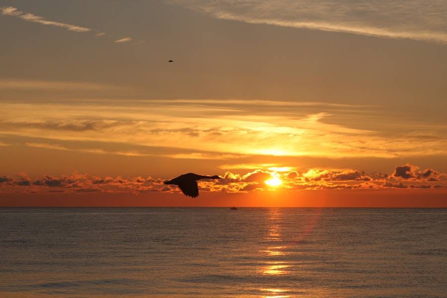 Sunrise