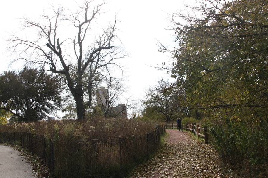 North Pond Landmarks