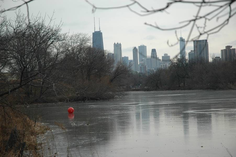 North Pond Views