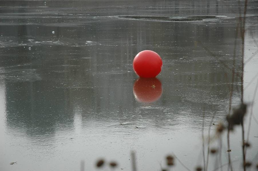 North Pond Views