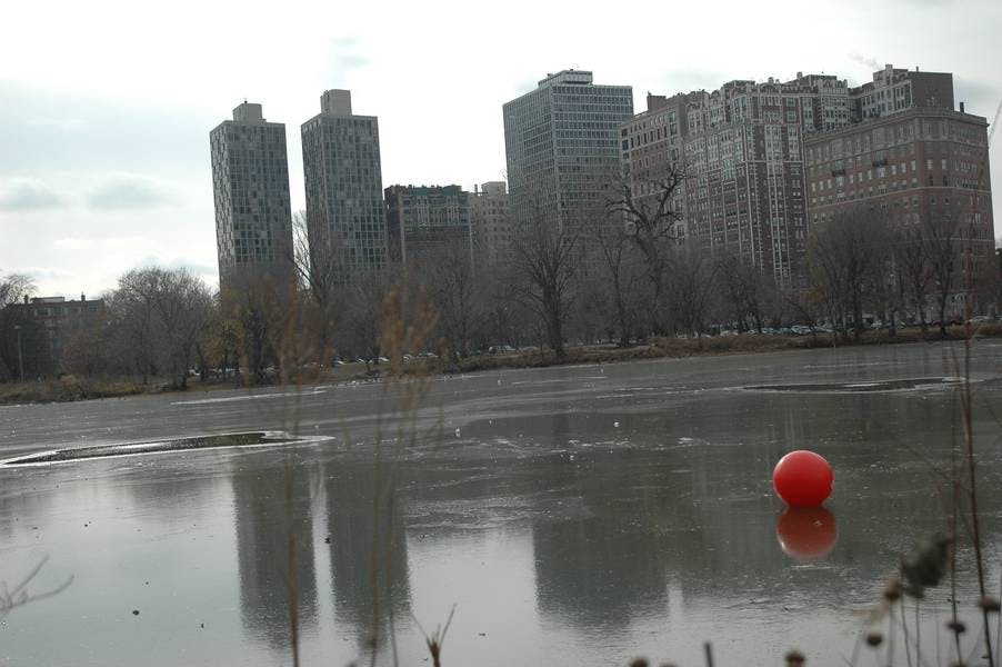 North Pond Views