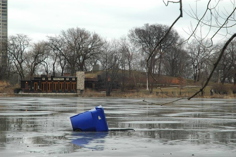 North Pond Views