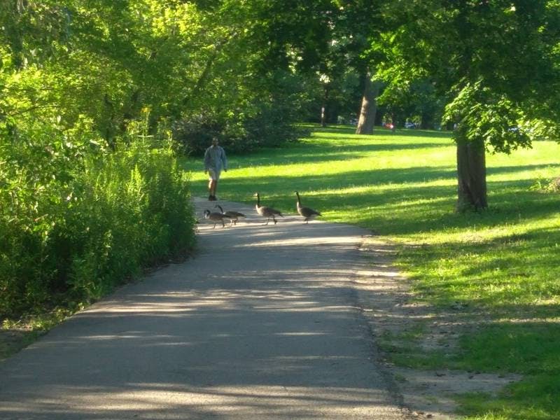 North Pond Promenade