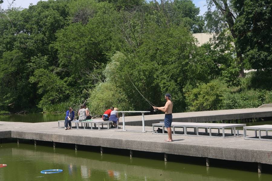 North Pond Live