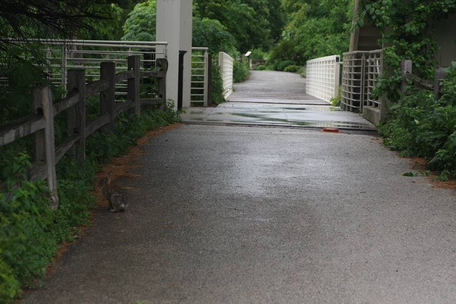 North Pond Landmarks