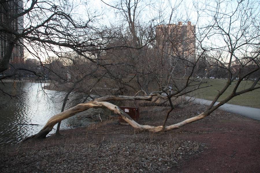 North Pond Landmarks