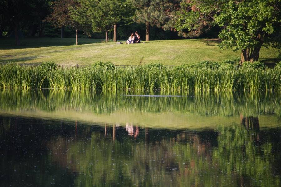 North Pond Views