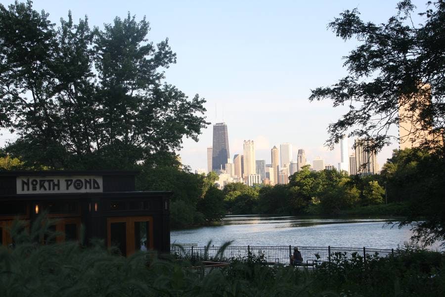 North Pond Views