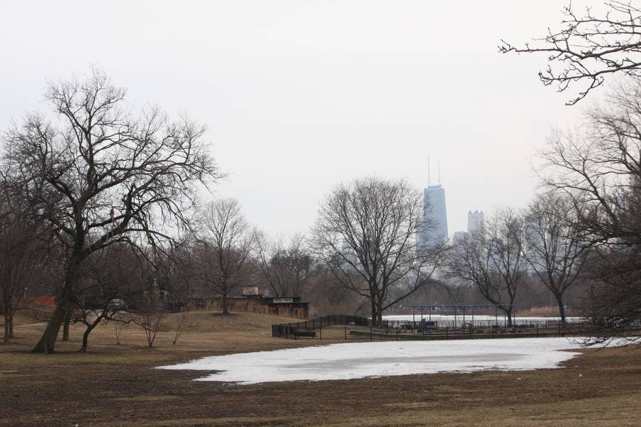 North Pond Views