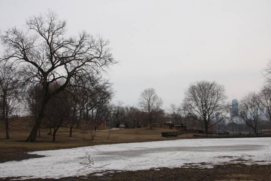 North Pond Views
