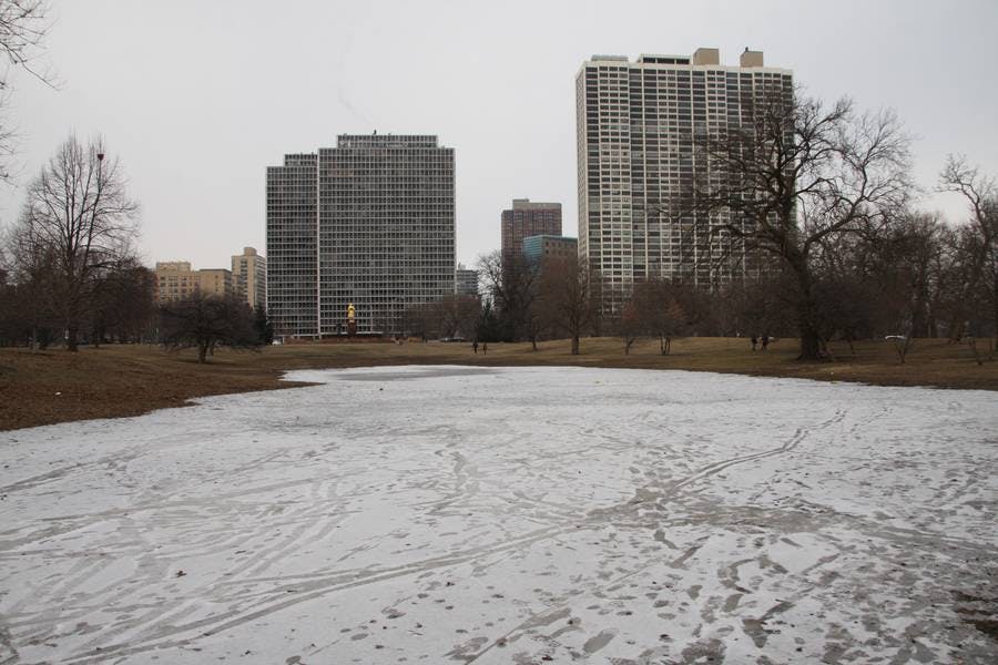 North Pond Views
