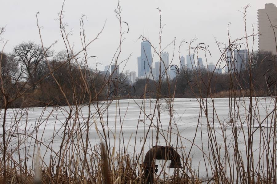 North Pond Views