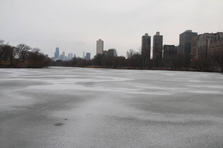 North Pond Views