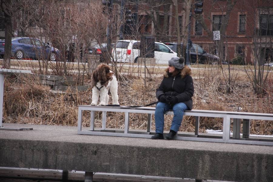 North Pond Promenade