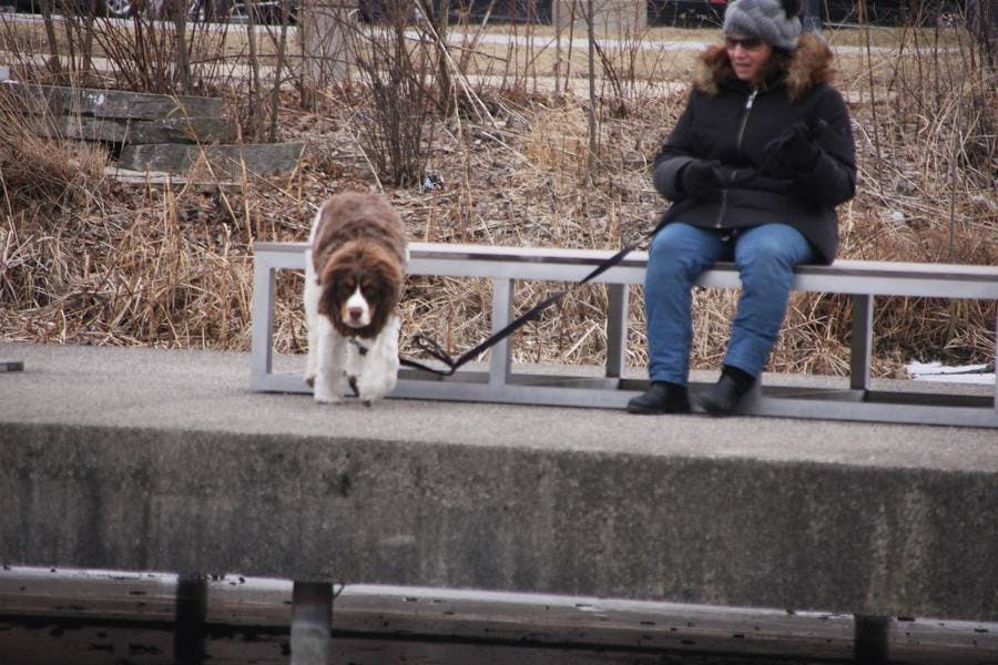 North Pond Promenade