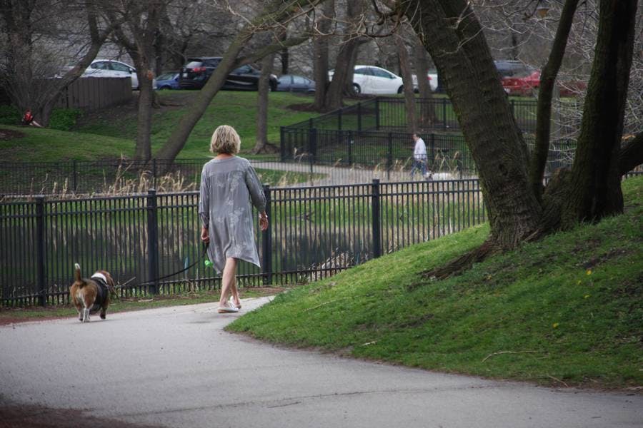 North Pond Promenade