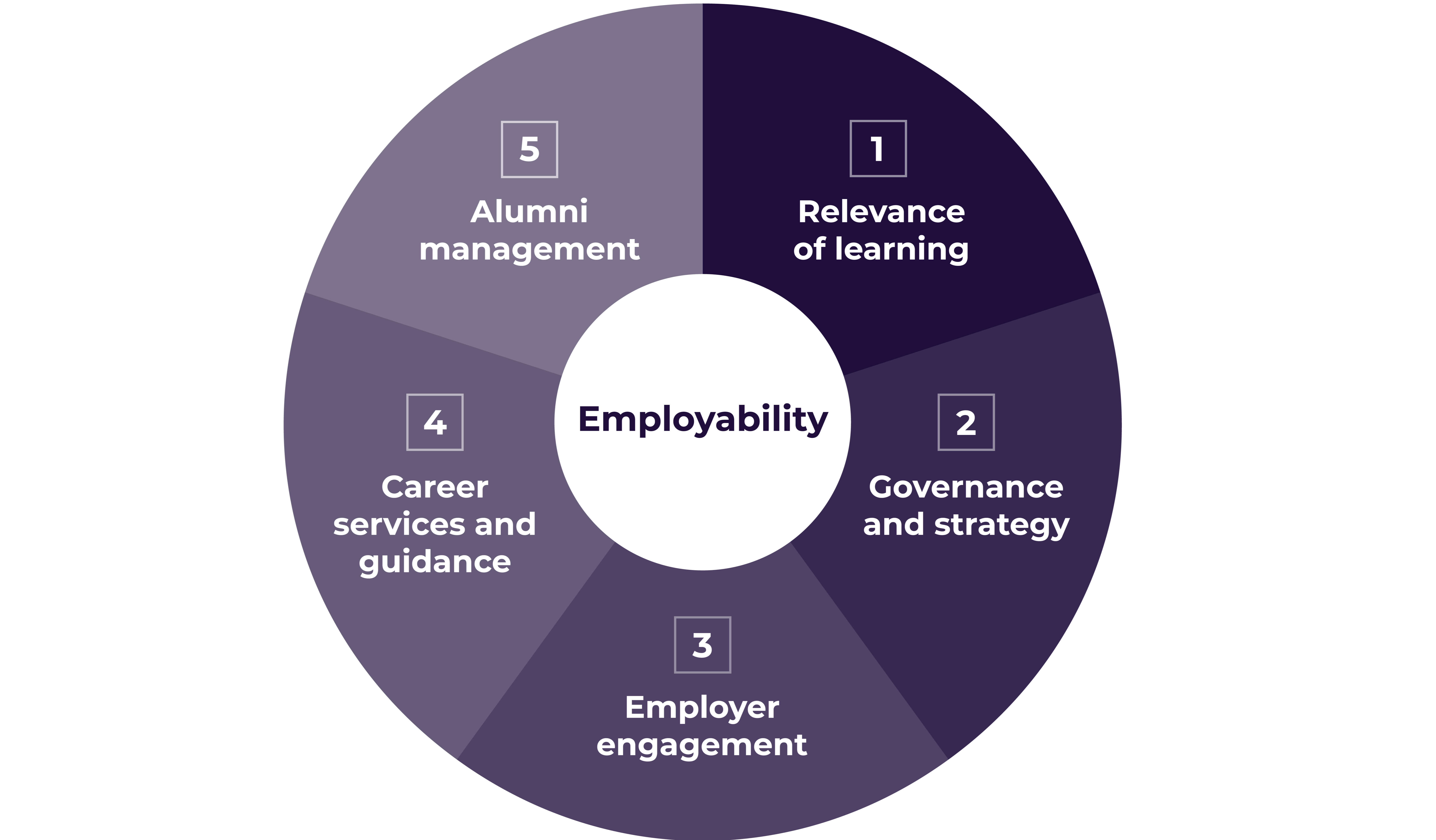 The 360° Assessment examines institutional processes, performance, and outcomes through the five dimensions of employability.