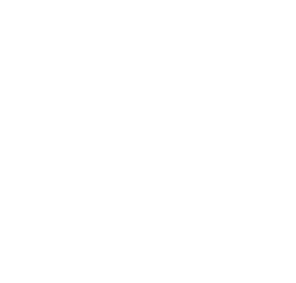 project logo