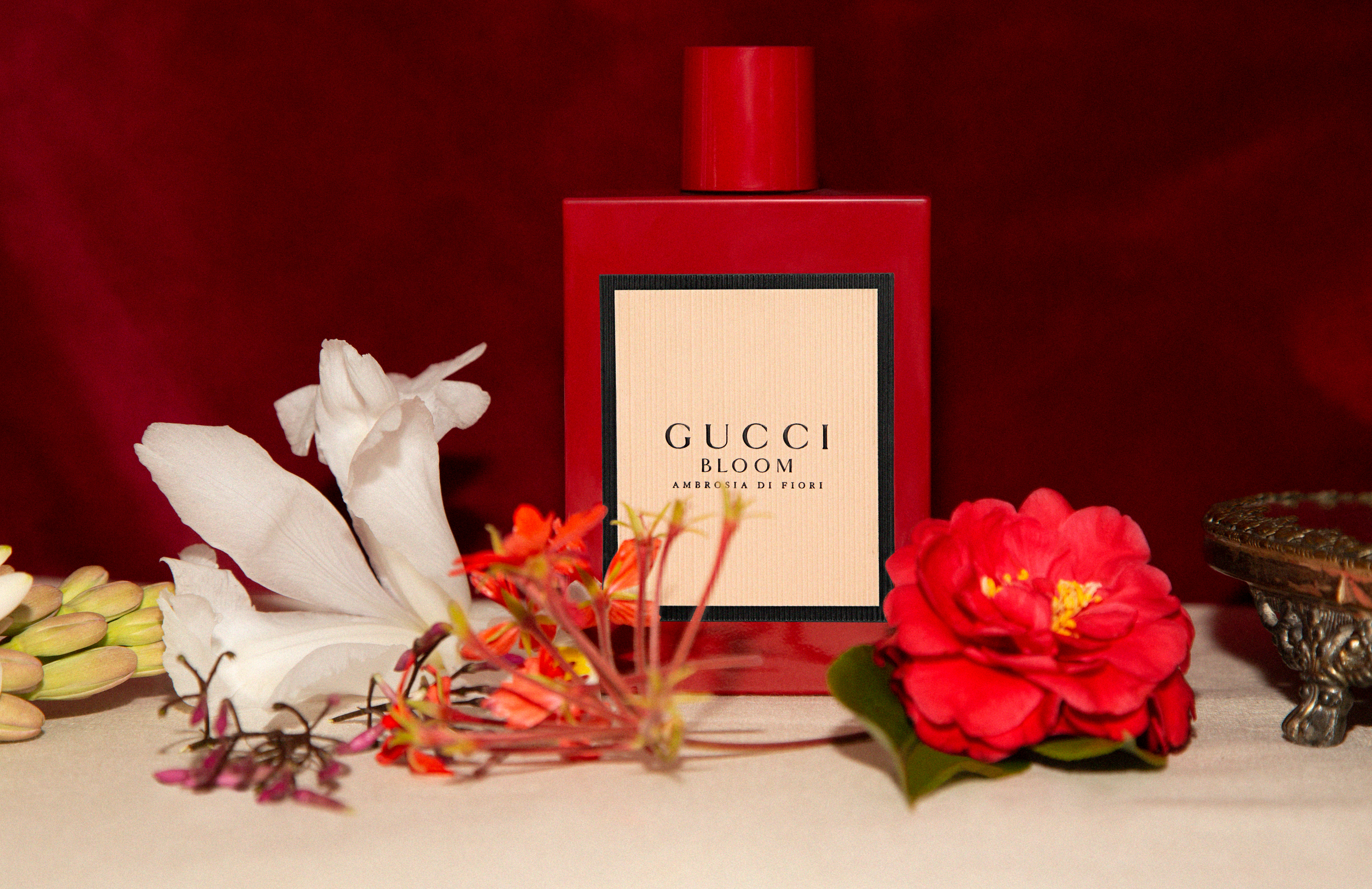 gucci bloom rosso