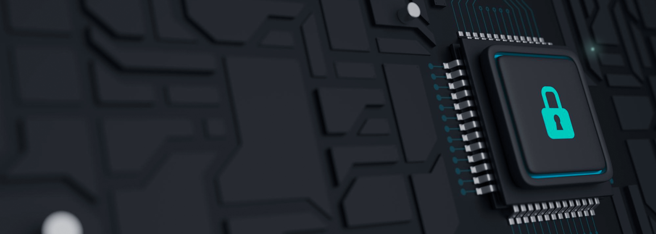 Secure Software Development