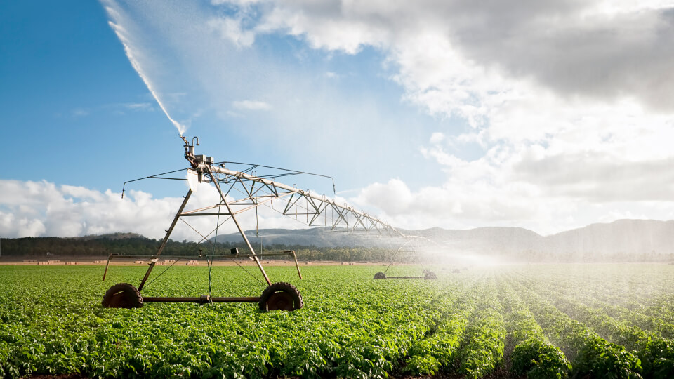 Farming & Agriculture