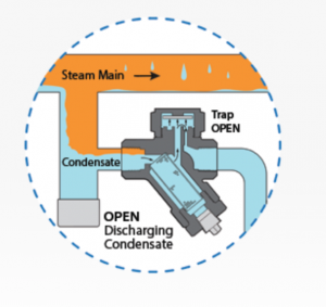 Steam trap maintenance