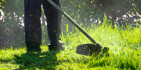 Cemetery maintenance