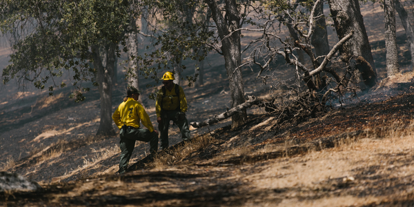 Prevención de incendios forestales