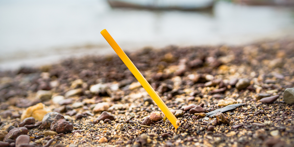 Beach polluted with straw