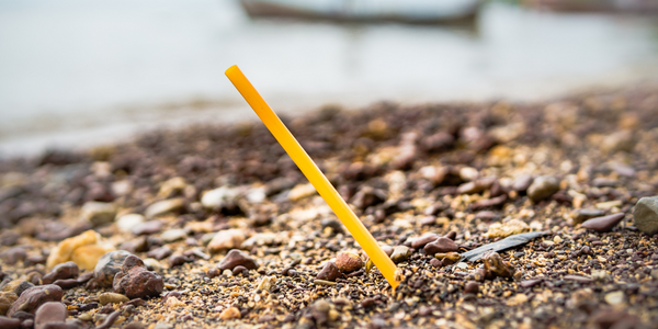 https://www.datocms-assets.com/38028/1670171261-polluted-beach.png