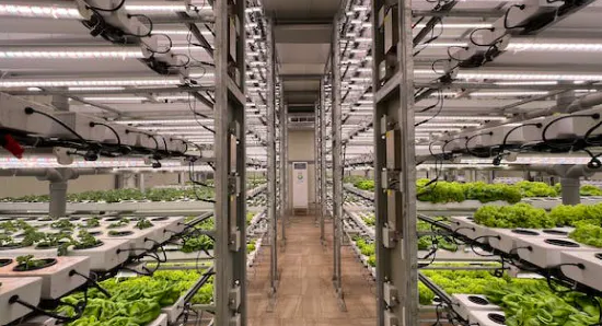 Agricultural Tech Advancements That Will Drive the Next Decade