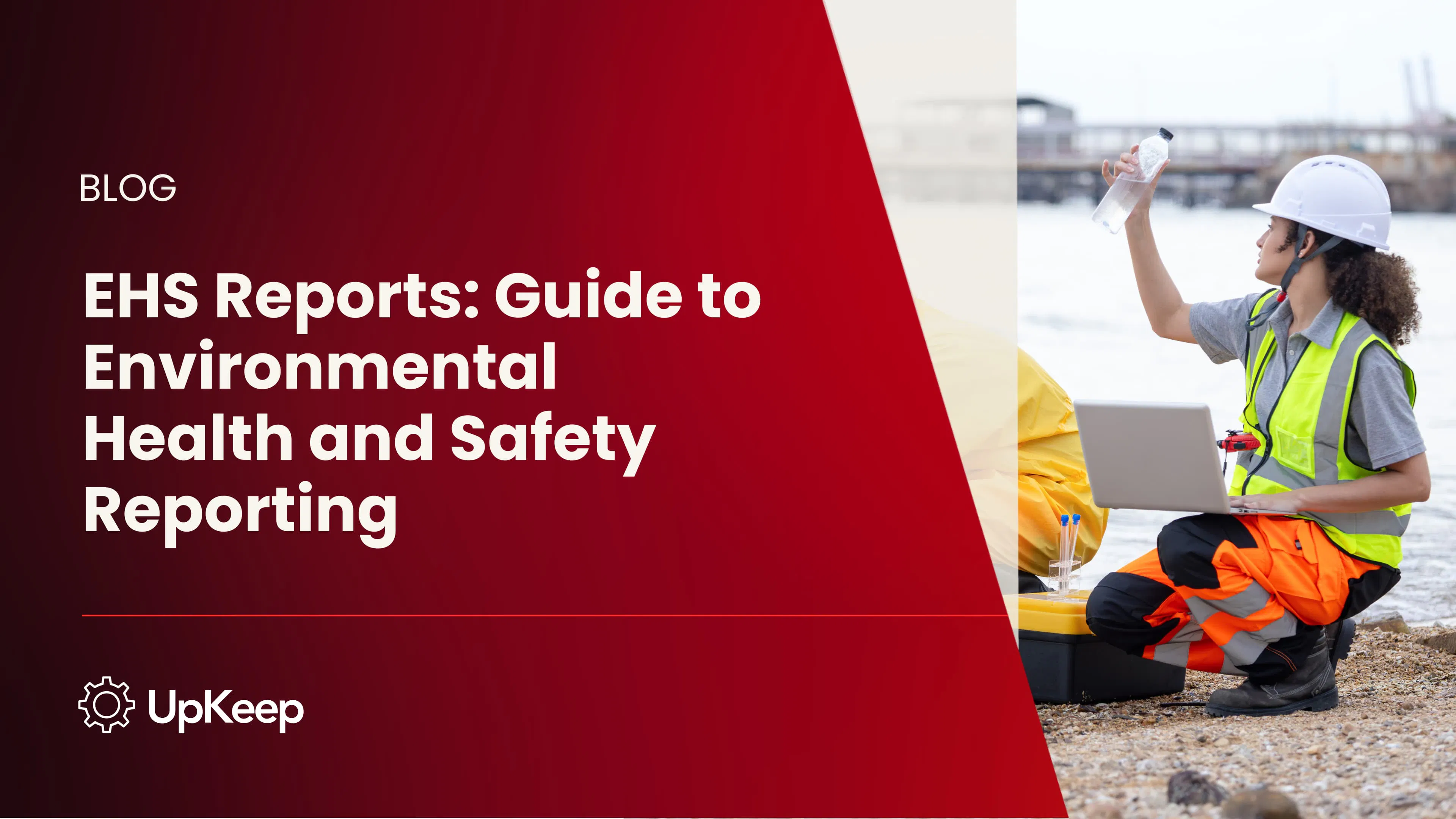 EHS Reports: Guide to Environmental Health and Safety Reporting