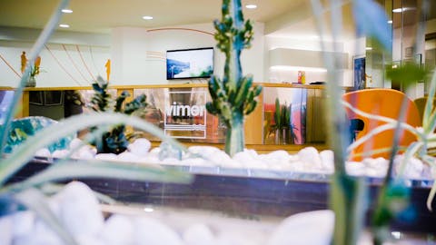 We are at your disposal