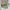 Lorem ipsum dolor sit amet, consectetur adipisicing elit, sed do eiusmod tempor incididunt ut labore et dolore magna aliqua. (duplicate)