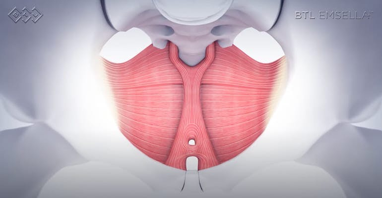 Wirth Aesthetic Plastic Surgery