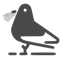 Pigeon Loans logo