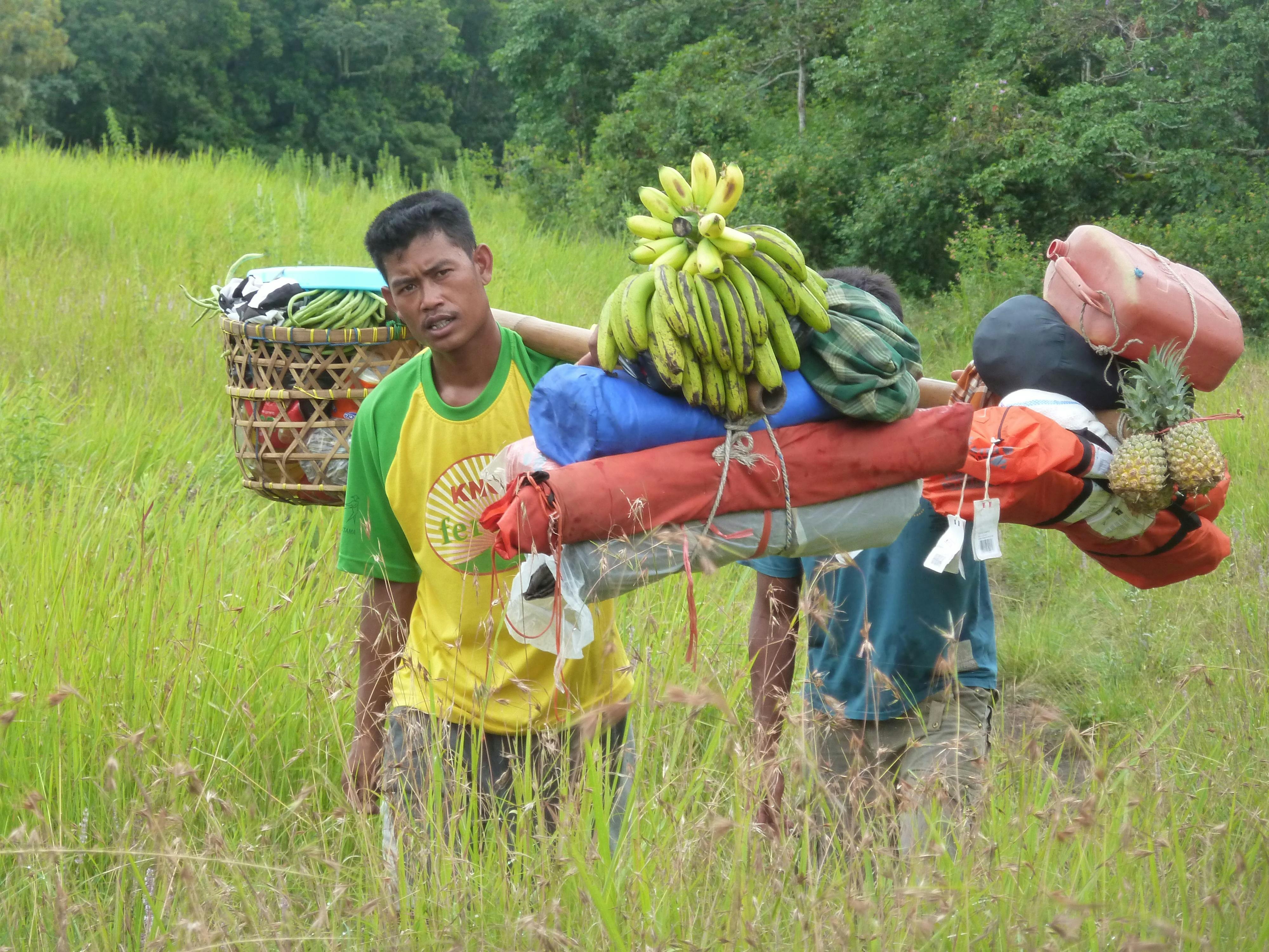 Two young Balinese men carry huge loads  through a field with waist high grass, including bananas, pineapples and vegetables.