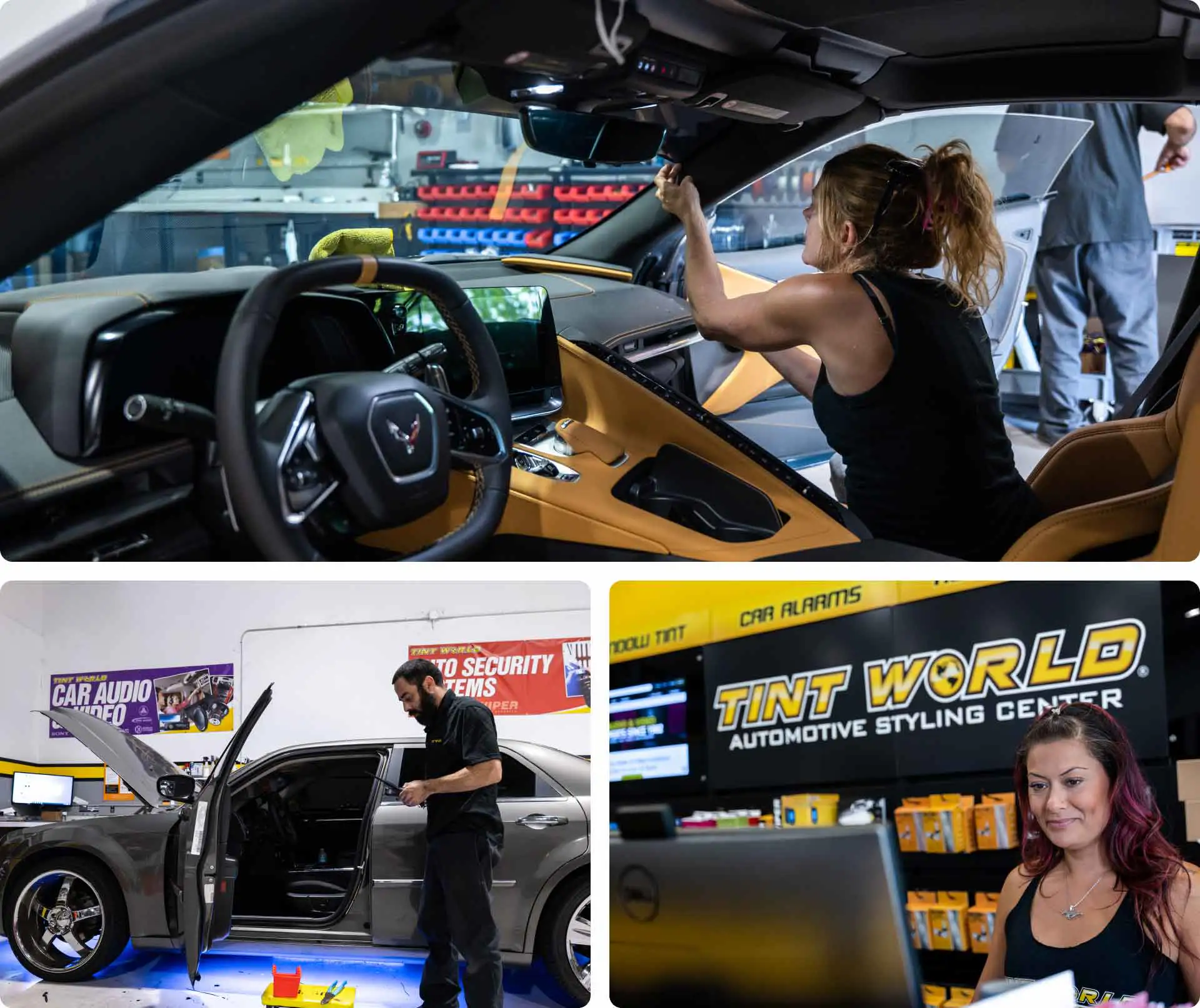 Tint World Team in action!