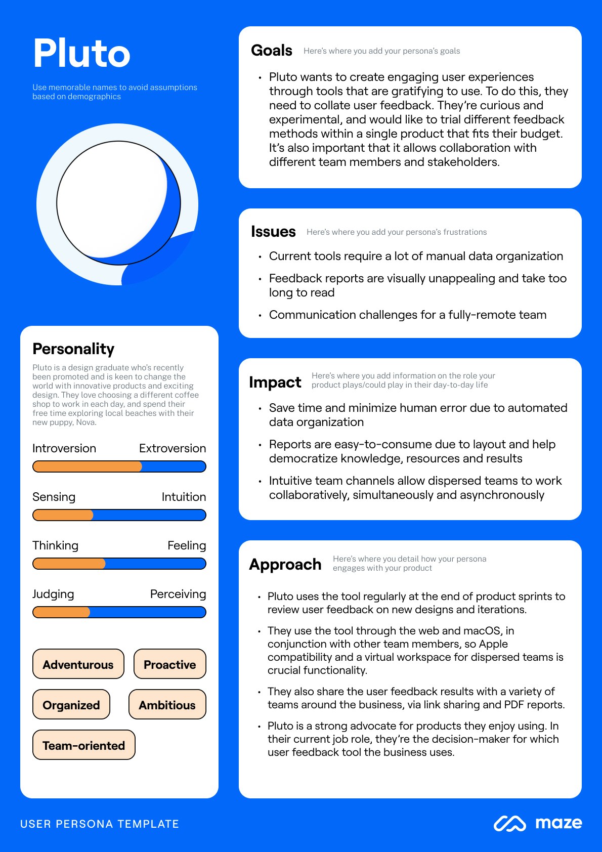 User persona profile with the name 'Pluto' and detailed information