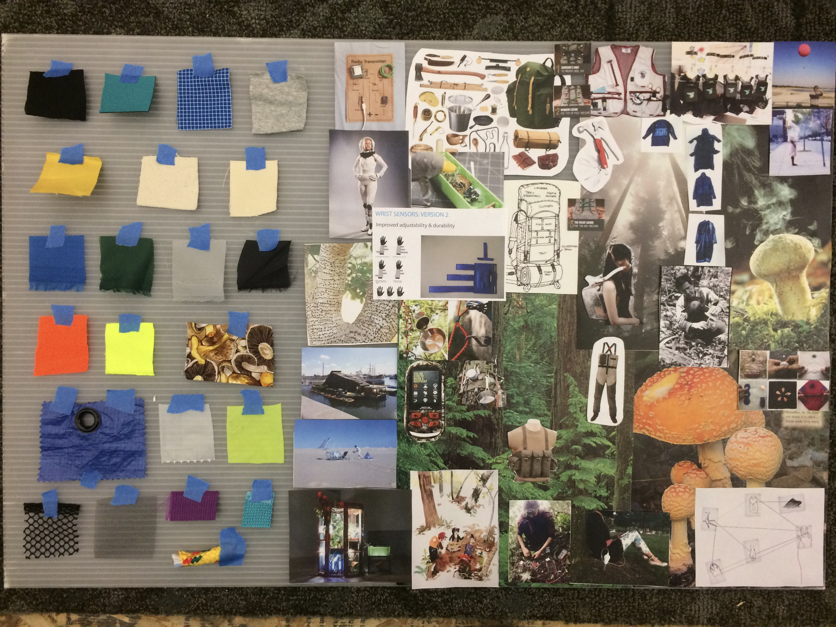 Physical mood board with photos of trees, insects, mushrooms, camping gear