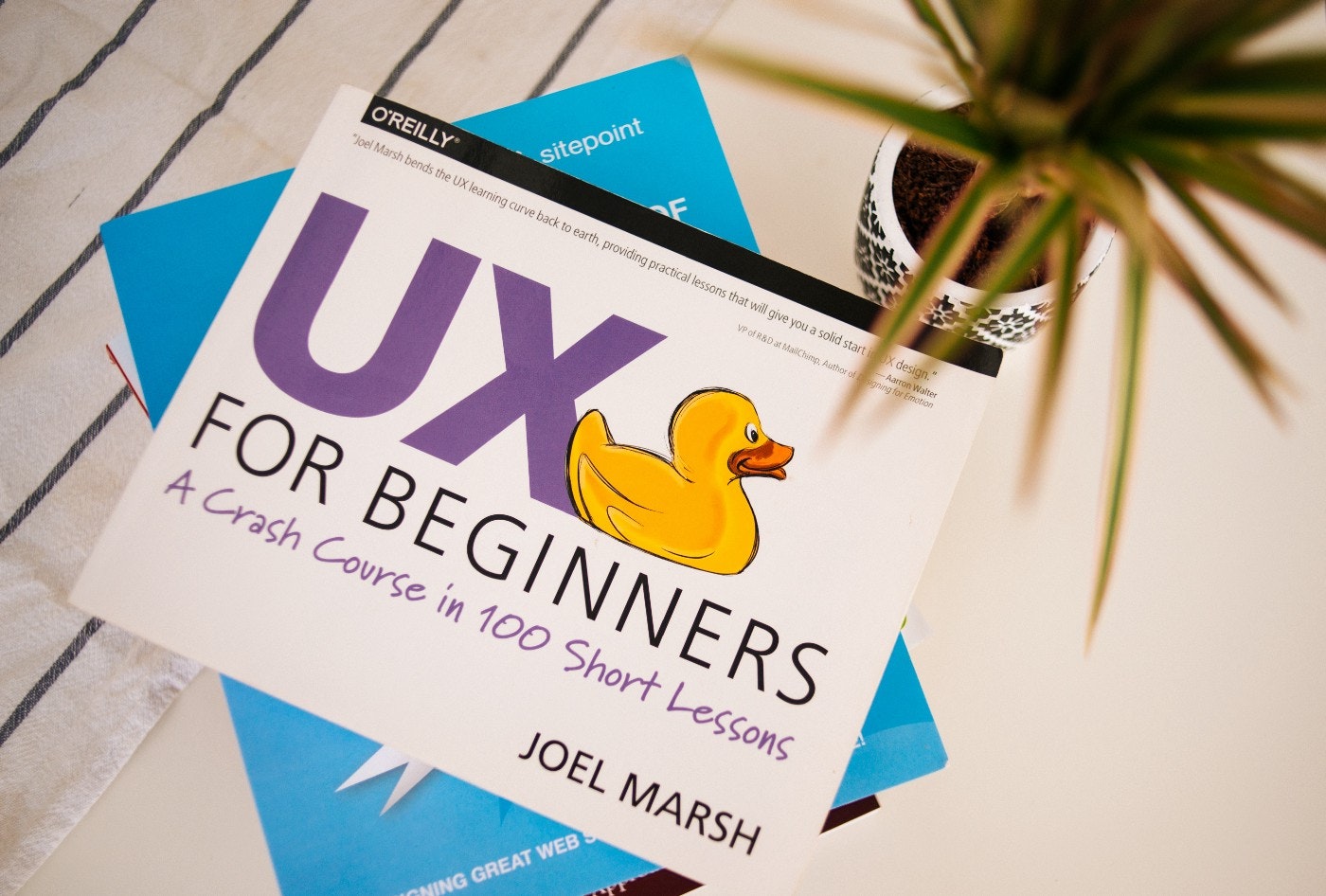 white book cover with rubber duck image and big purple text reading UX for beginners a crash course in 100 short lessons