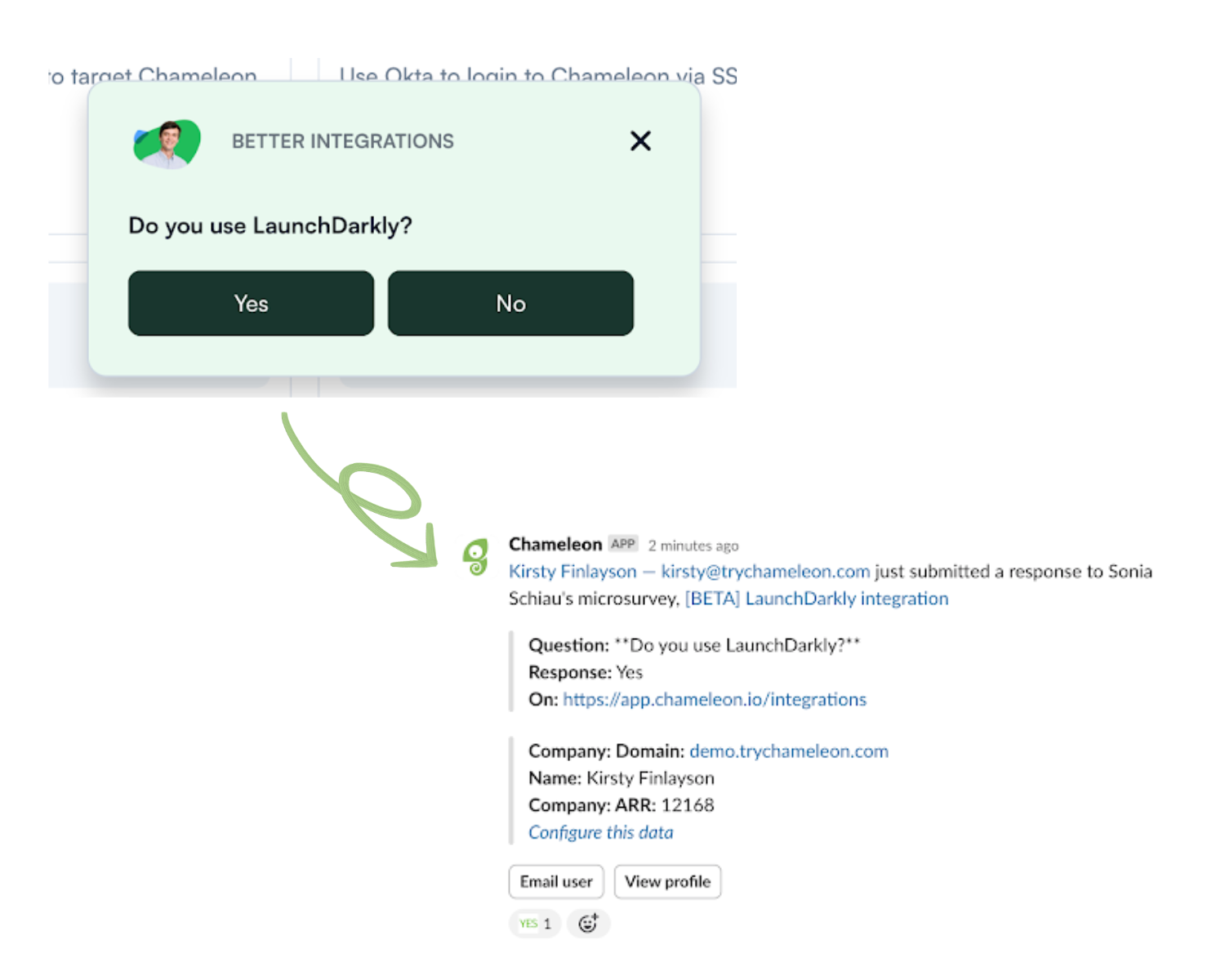 screenshot of customer insight survey on chameleon platform