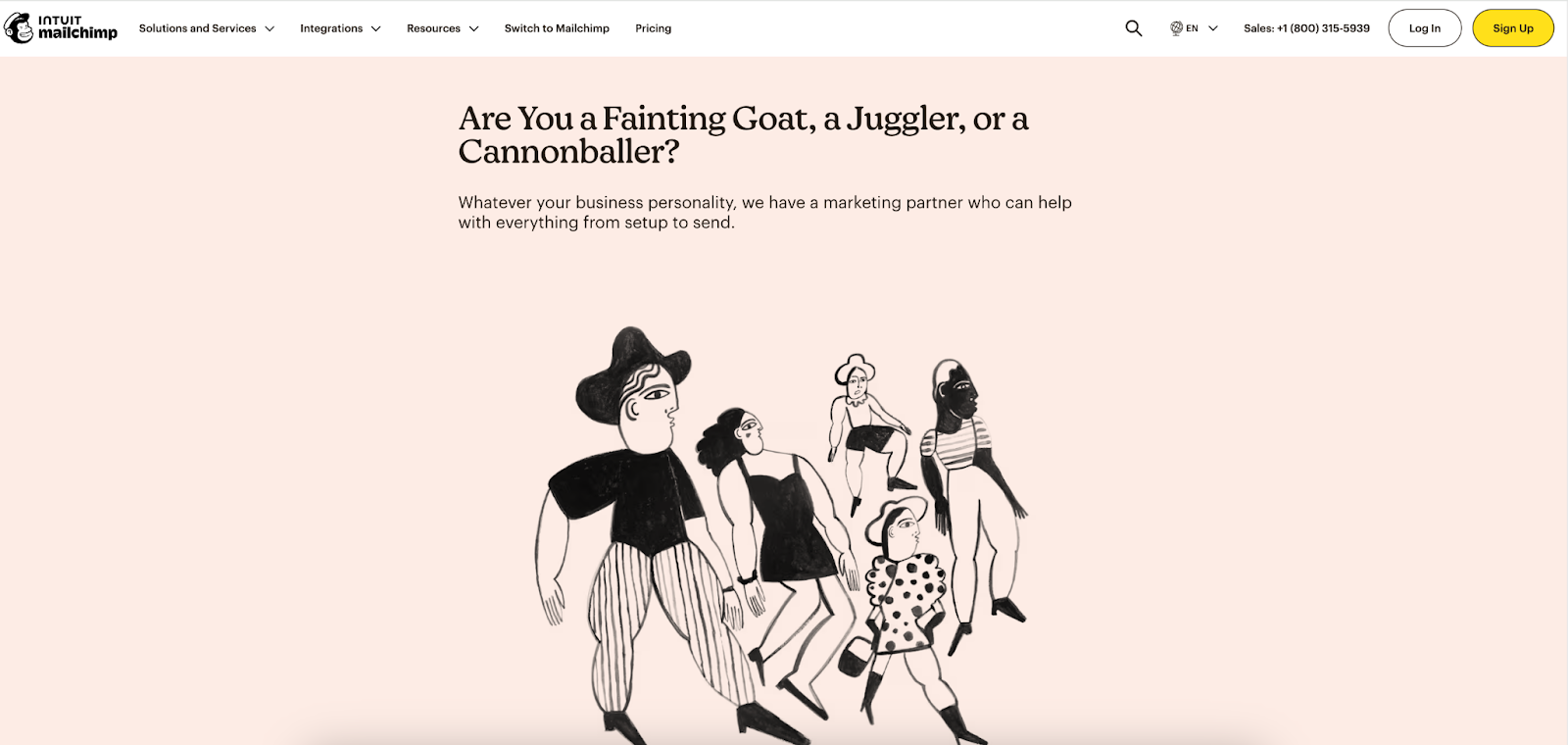 user persona example mailchimp